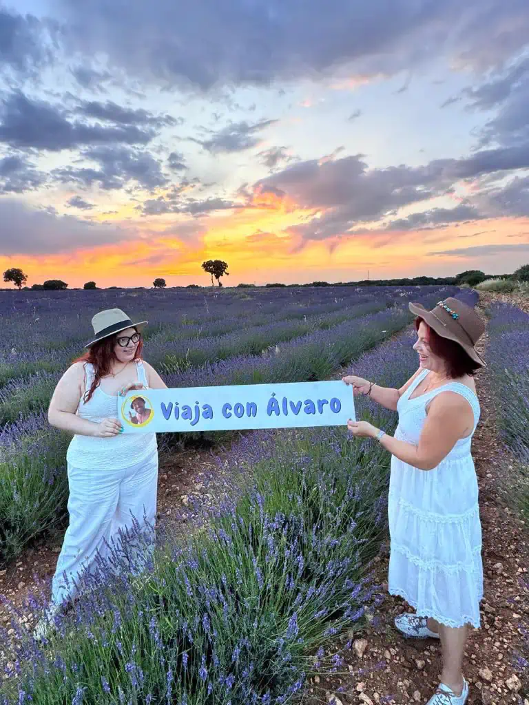 Campos de Lavanda GAL_04