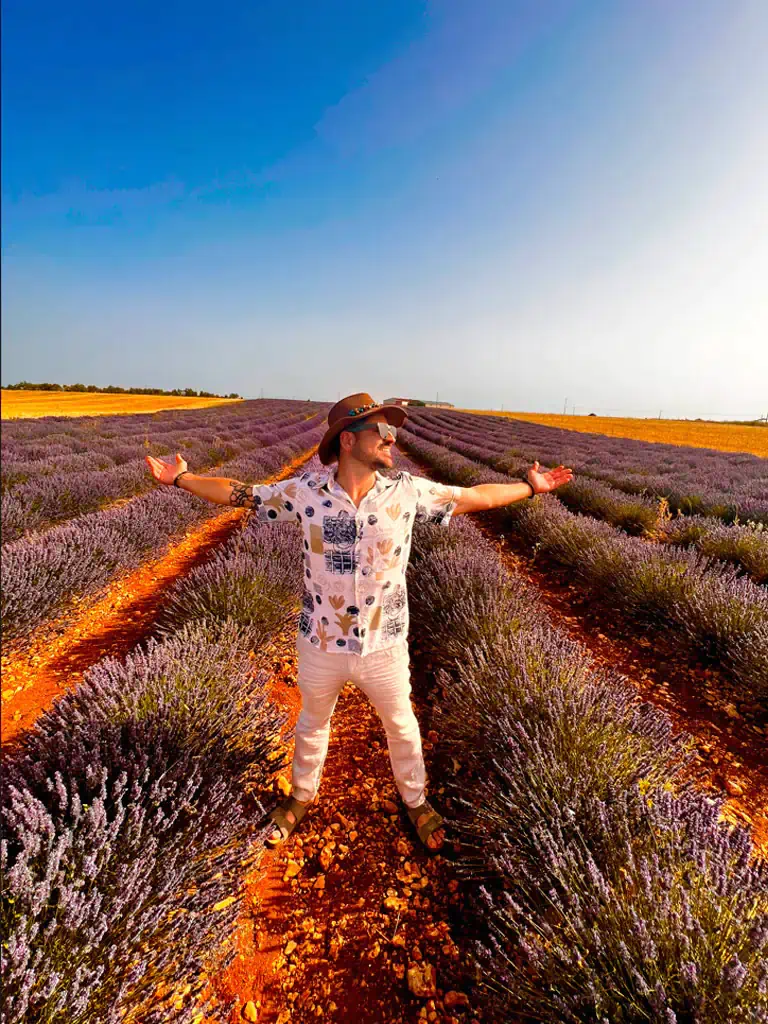 Campos de Lavanda GAL_05