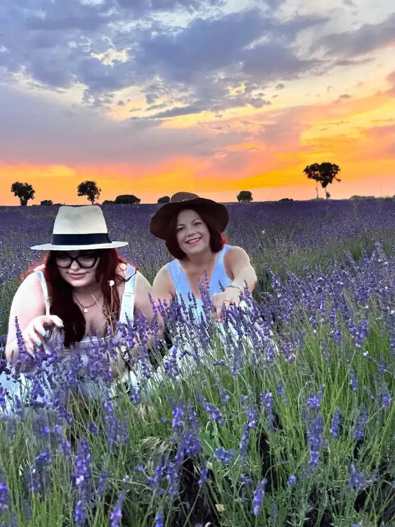 Campos de Lavanda GAL_06