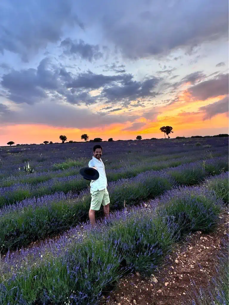 Campos de Lavanda GAL_09