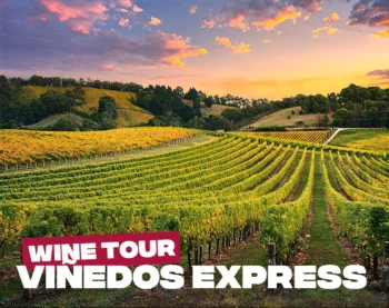 Viñedos Express
