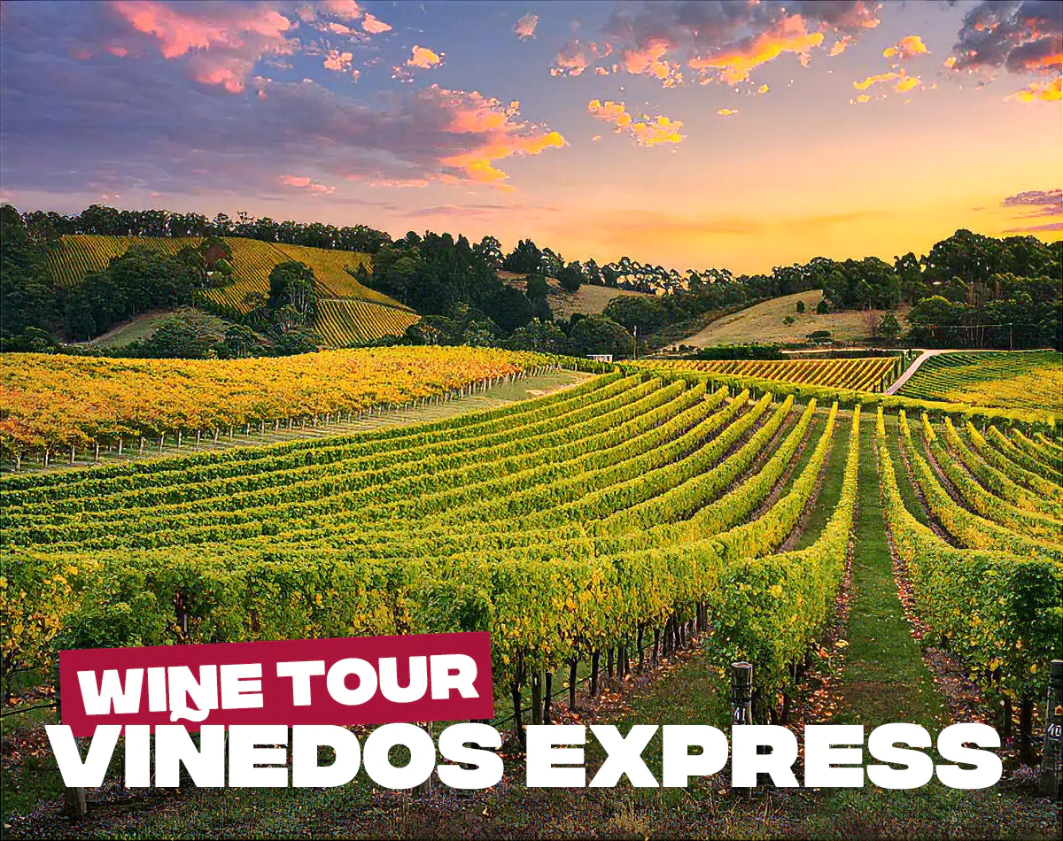 Viñedos Express