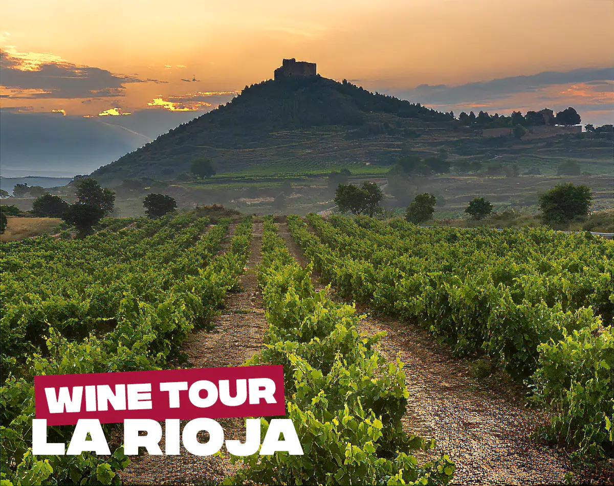 Tour a La Rioja